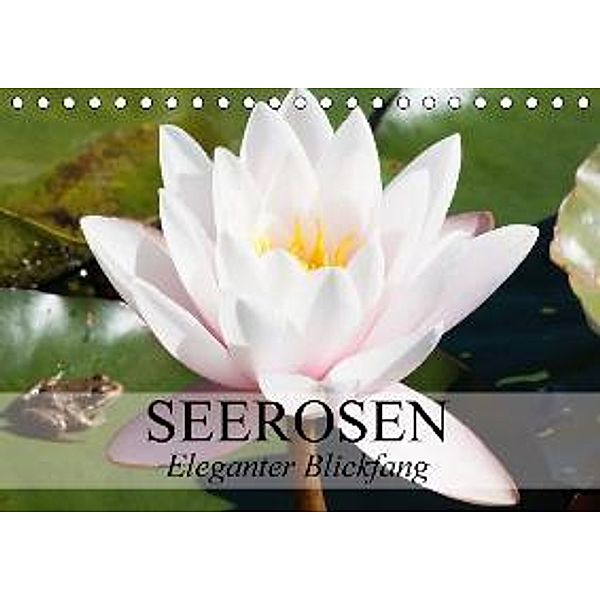 Seerosen - Eleganter Blickfang (Tischkalender 2015 DIN A5 quer), Elisabeth Stanzer