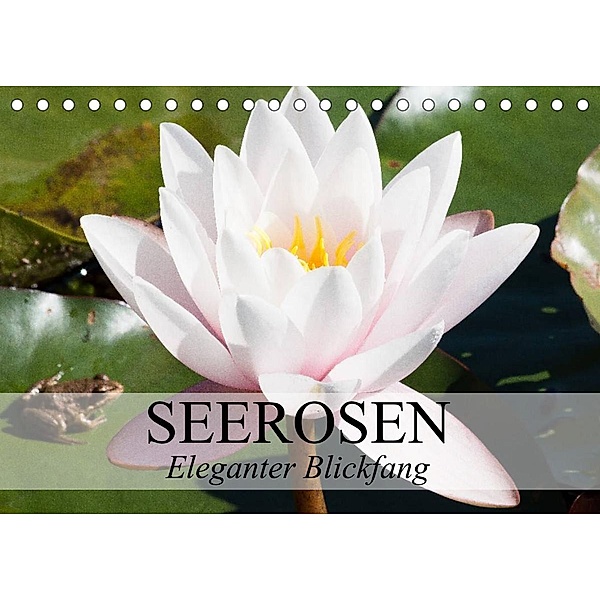Seerosen - Eleganter Blickfang (Tischkalender 2023 DIN A5 quer), Elisabeth Stanzer