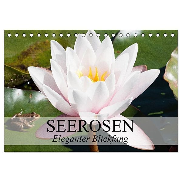 Seerosen - Eleganter Blickfang (Tischkalender 2024 DIN A5 quer), CALVENDO Monatskalender, Elisabeth Stanzer