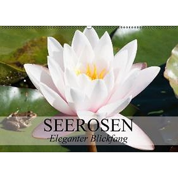 Seerosen - Eleganter Blickfang (Wandkalender 2015 DIN A2 quer), Elisabeth Stanzer