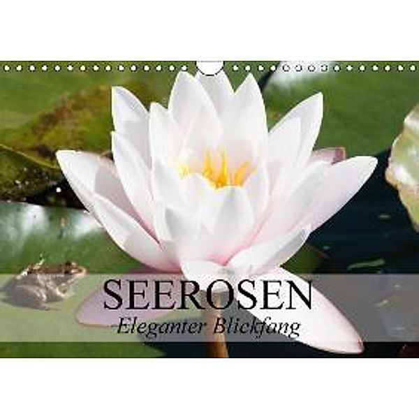Seerosen - Eleganter Blickfang (Wandkalender 2015 DIN A4 quer), Elisabeth Stanzer