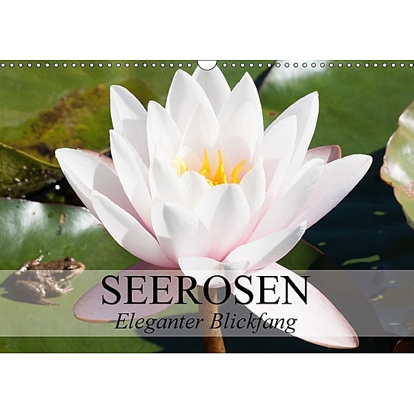 Seerosen - Eleganter Blickfang (Wandkalender 2018 DIN A3 quer), Elisabeth Stanzer