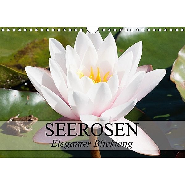 Seerosen - Eleganter Blickfang (Wandkalender 2018 DIN A4 quer), Elisabeth Stanzer