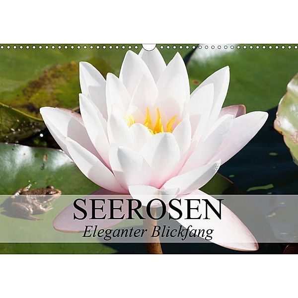 Seerosen - Eleganter Blickfang (Wandkalender 2020 DIN A3 quer), Elisabeth Stanzer
