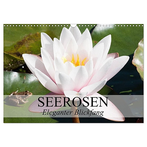 Seerosen - Eleganter Blickfang (Wandkalender 2024 DIN A3 quer), CALVENDO Monatskalender, Elisabeth Stanzer