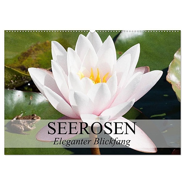 Seerosen - Eleganter Blickfang (Wandkalender 2024 DIN A2 quer), CALVENDO Monatskalender, Elisabeth Stanzer