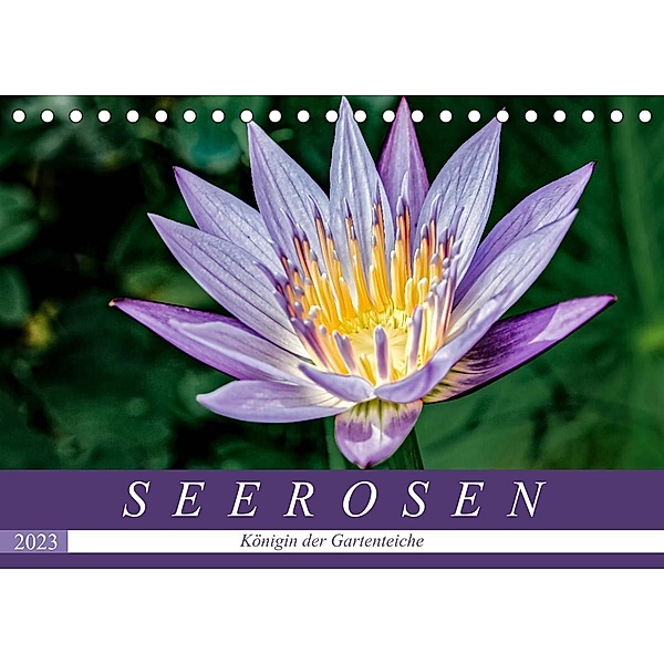 Seerosen - Königin der Gartenteiche (Tischkalender 2023 DIN A5 quer), Dieter Meyer