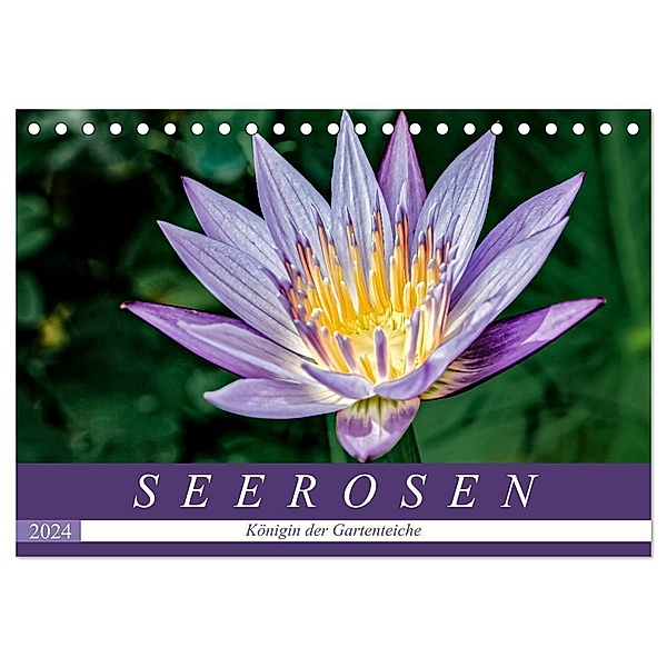 Seerosen - Königin der Gartenteiche (Tischkalender 2024 DIN A5 quer), CALVENDO Monatskalender, Dieter Meyer