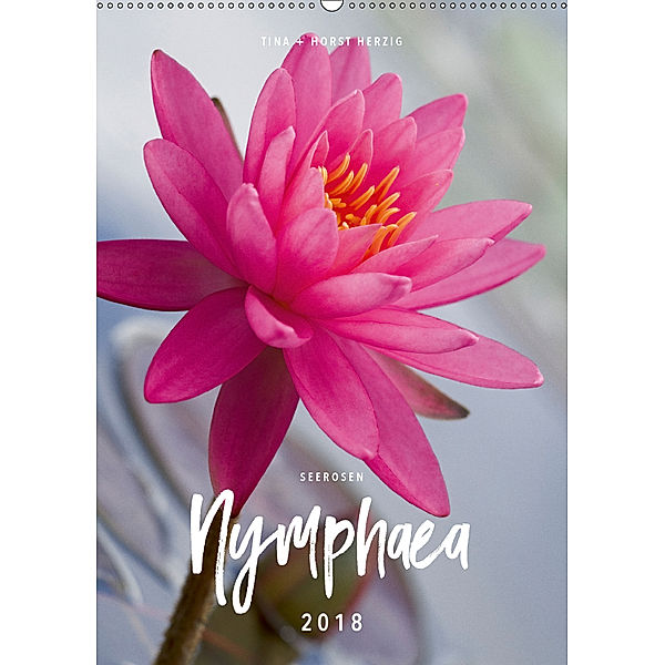 Seerosen Nymphaea (Wandkalender 2018 DIN A2 hoch), Tina Herzig