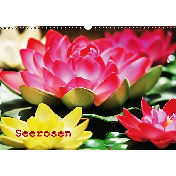 Seerosen (Wandkalender 2014 DIN A3 quer)