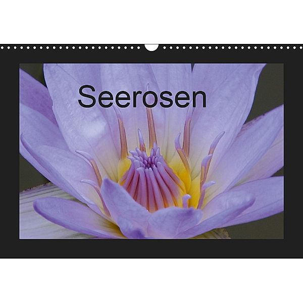 Seerosen (Wandkalender 2019 DIN A3 quer), Sven Herkenrath