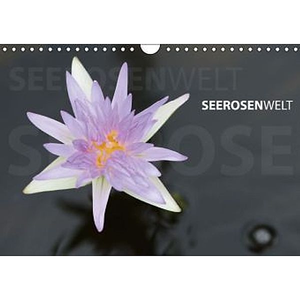 SeerosenWelt (Wandkalender 2016 DIN A4 quer), Sandra Eichler