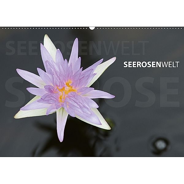 SeerosenWelt (Wandkalender 2018 DIN A2 quer), Sandra Eichler