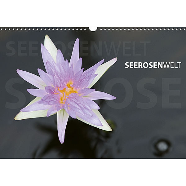 SeerosenWelt (Wandkalender 2019 DIN A3 quer), Sandra Eichler