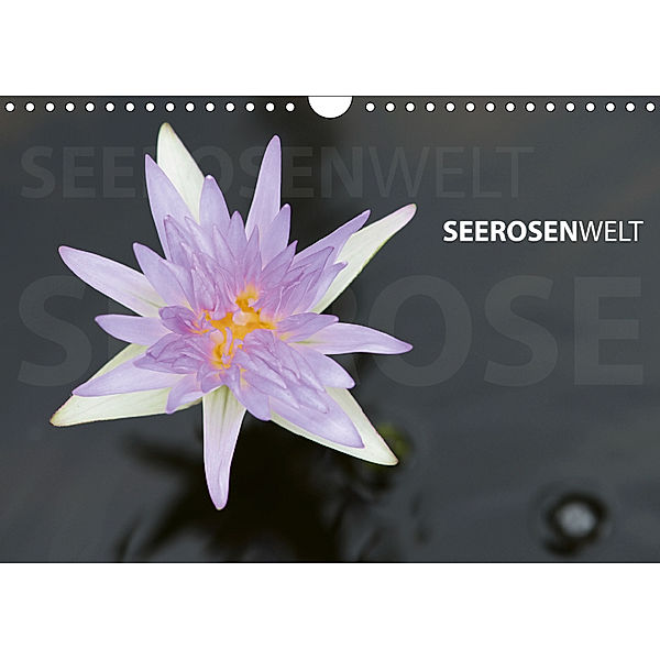 SeerosenWelt (Wandkalender 2019 DIN A4 quer), Sandra Eichler