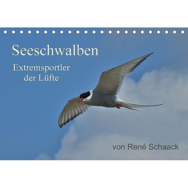 Seeschwalben - Extremsportler der Lüfte (Tischkalender 2017 DIN A5 quer), René Schaack