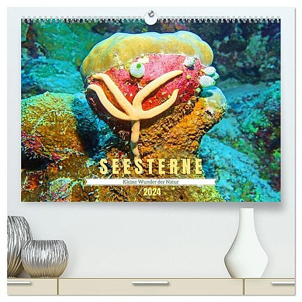 Seesterne - Kleine Wunder der Natur (hochwertiger Premium Wandkalender 2024 DIN A2 quer), Kunstdruck in Hochglanz, Andrea Heß