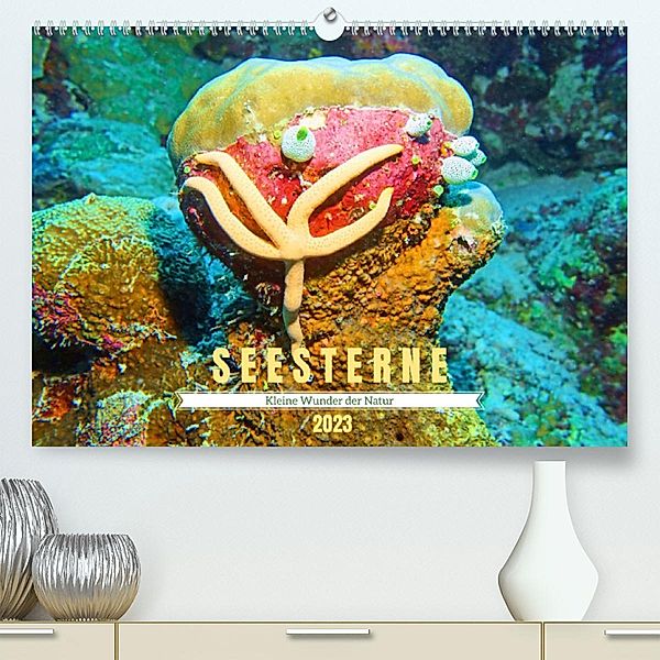 Seesterne - Kleine Wunder der Natur (Premium, hochwertiger DIN A2 Wandkalender 2023, Kunstdruck in Hochglanz), Andrea Heß
