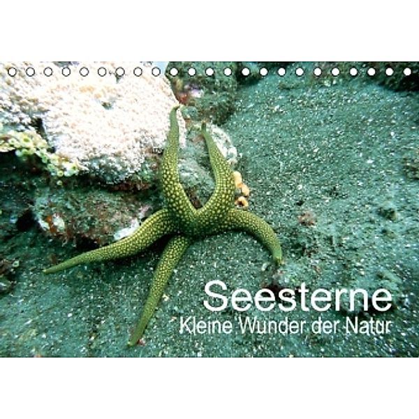 Seesterne - Kleine Wunder der Natur (Tischkalender 2016 DIN A5 quer), Andrea Hess