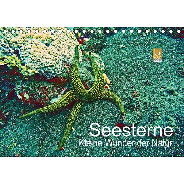 Seesterne - Kleine Wunder der Natur (Tischkalender 2018 DIN A5 quer), Andrea Hess