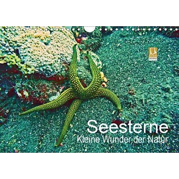 Seesterne - Kleine Wunder der Natur (Wandkalender 2020 DIN A4 quer), Andrea Hess