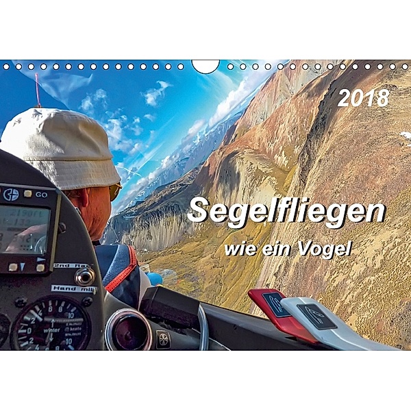 Segelfliegen - wie ein Vogel (Wandkalender 2018 DIN A4 quer), Peter Roder