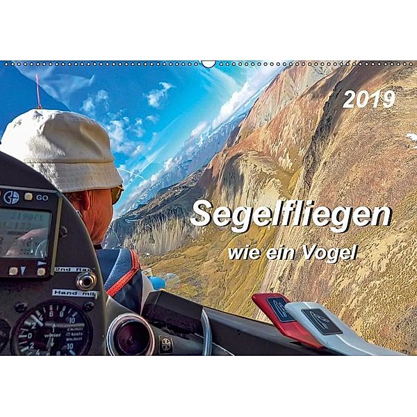 Segelfliegen - wie ein Vogel (Wandkalender 2019 DIN A2 quer), Peter Roder