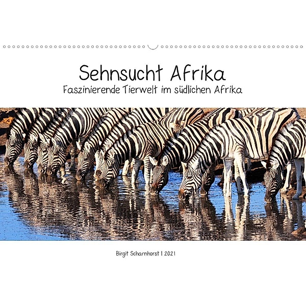Sehnsucht Afrika - Faszinierende Tierwelt im südlichen Afrika (Wandkalender 2021 DIN A2 quer), Birgit Scharnhorst
