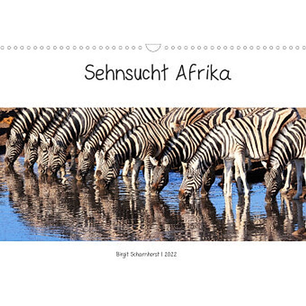 Sehnsucht Afrika - Faszinierende Tierwelt im südlichen Afrika (Wandkalender 2022 DIN A3 quer), Birgit Scharnhorst