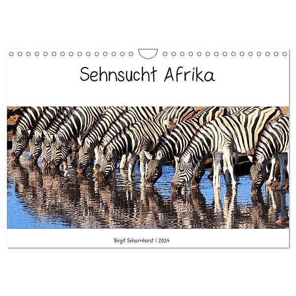 Sehnsucht Afrika - Faszinierende Tierwelt im südlichen Afrika (Wandkalender 2024 DIN A4 quer), CALVENDO Monatskalender, Birgit Scharnhorst