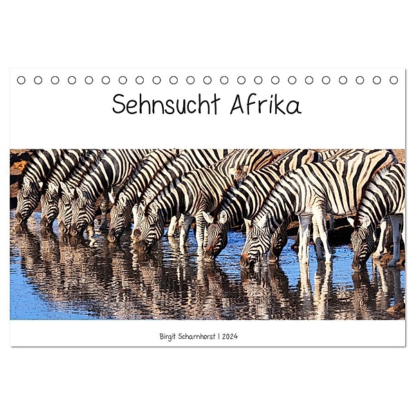 Sehnsucht Afrika - Faszinierende Tierwelt im südlichen Afrika (Tischkalender 2024 DIN A5 quer), CALVENDO Monatskalender, Birgit Scharnhorst