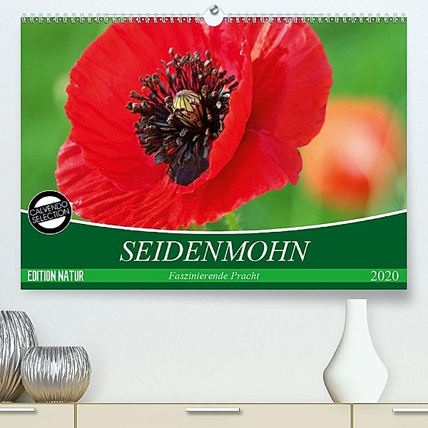 Seidenmohn Faszinierende Pracht (Premium, hochwertiger DIN A2 Wandkalender 2020, Kunstdruck in Hochglanz), Gisela Kruse