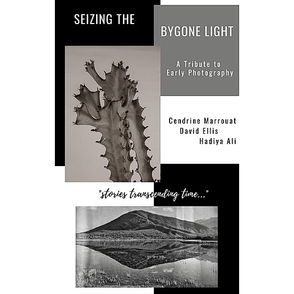 Seizing the Bygone Light: A Tribute to Early Photography, Cendrine Marrouat, David Ellis, Hadiya Ali