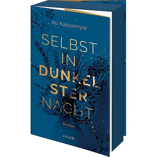 Selbst in dunkelster Nacht / Liora & Kieran Bd.1, Ali Kassemyar