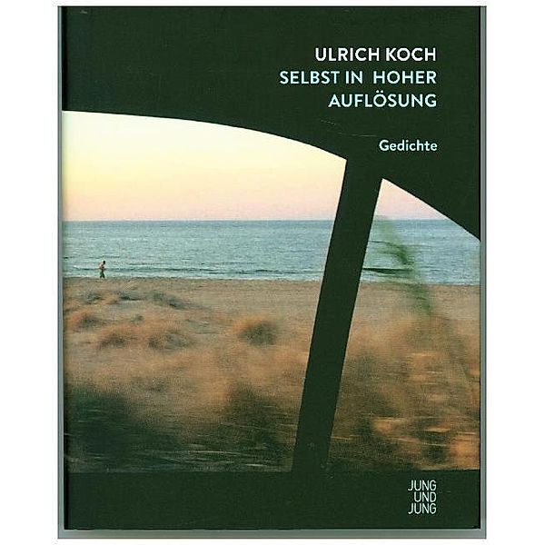 Selbst in hoher Auflösung, Ulrich Koch