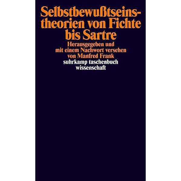 Selbstbewußtseinstheorien von Fichte bis Sartre