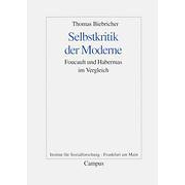 Selbstkritik der Moderne, Thomas Biebricher