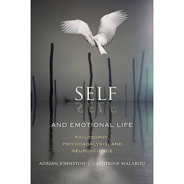 Self and Emotional Life / Insurrections: Critical Studies in Religion, Politics, and Culture, Adrian Johnston, Catherine Malabou