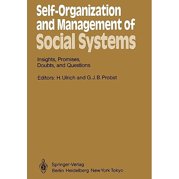 Self-Organization and Management of Social Systems / Springer Series in Synergetics Bd.26