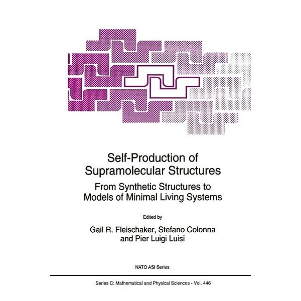 Self-Production of Supramolecular Structures / Nato Science Series C: Bd.446