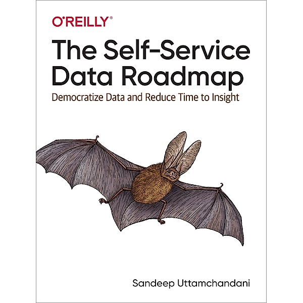 Self-Service Data Roadmap, Sandeep Uttamchandani