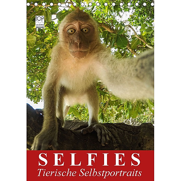 Selfies. Tierische Selbstportraits (Tischkalender 2018 DIN A5 hoch), Elisabeth Stanzer