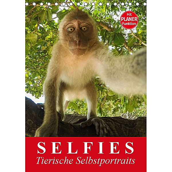 Selfies. Tierische Selbstportraits (Tischkalender 2019 DIN A5 hoch), Elisabeth Stanzer