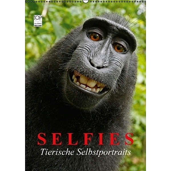 Selfies. Tierische Selbstportraits (Wandkalender 2017 DIN A2 hoch), Elisabeth Stanzer
