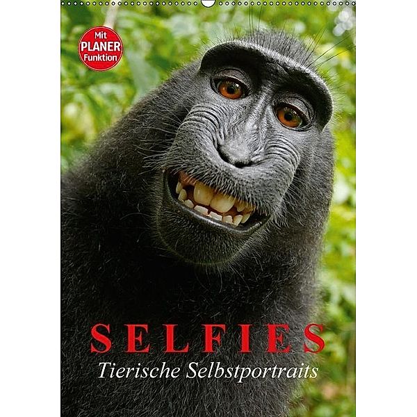 Selfies - Tierische Selbstportraits (Wandkalender 2018 DIN A2 hoch), Elisabeth Stanzer