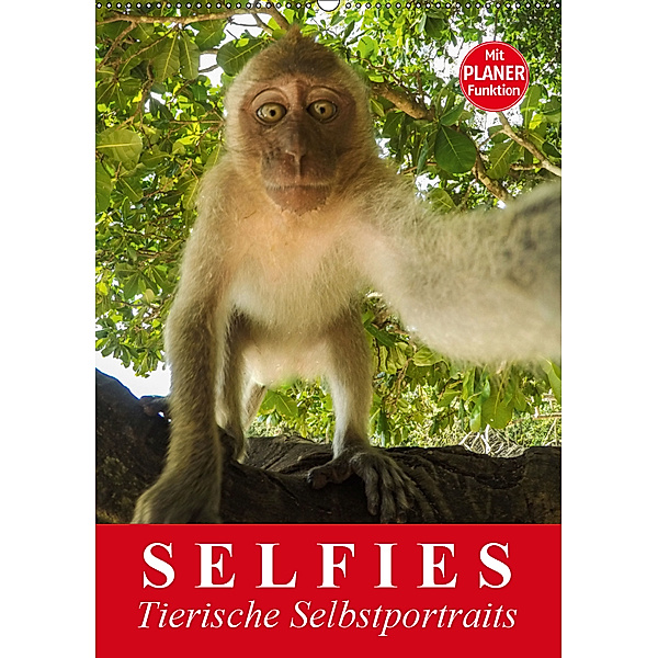 Selfies. Tierische Selbstportraits (Wandkalender 2019 DIN A2 hoch), Elisabeth Stanzer
