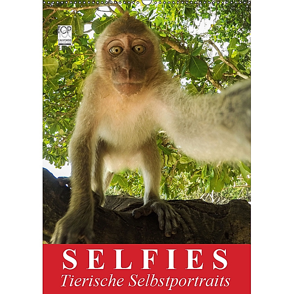 Selfies. Tierische Selbstportraits (Wandkalender 2019 DIN A2 hoch), Elisabeth Stanzer