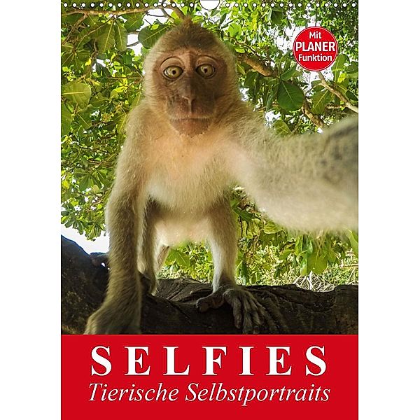 Selfies. Tierische Selbstportraits (Wandkalender 2021 DIN A3 hoch), Elisabeth Stanzer