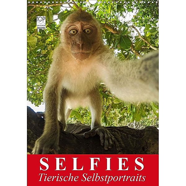 Selfies. Tierische Selbstportraits (Wandkalender 2021 DIN A3 hoch), Elisabeth Stanzer