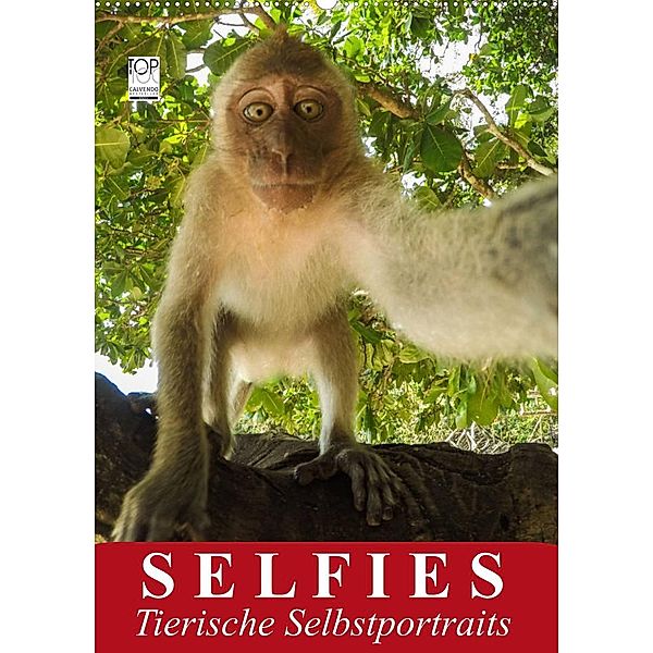 Selfies. Tierische Selbstportraits (Wandkalender 2023 DIN A2 hoch), Elisabeth Stanzer